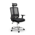 Audy Ergonomic Office Chair (CH2)